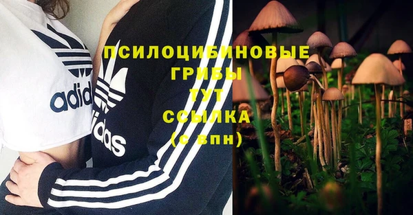 гашик Баксан