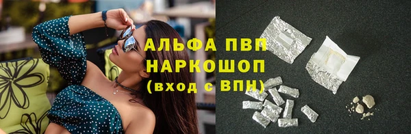 гашик Балахна