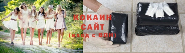 гашик Балахна